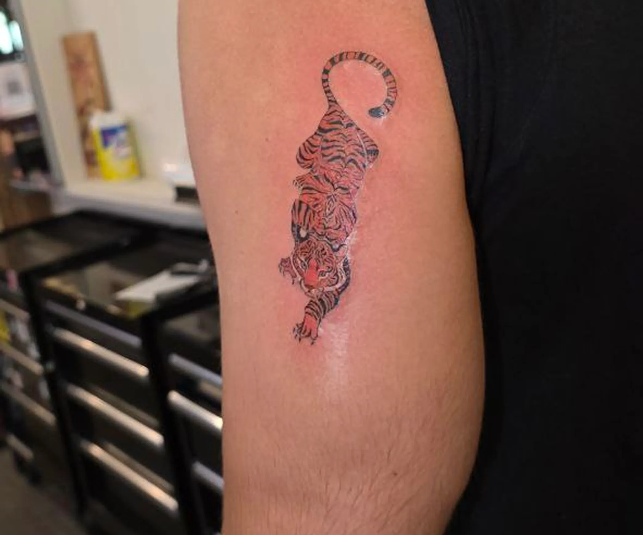 Minimal Botanical Wrap