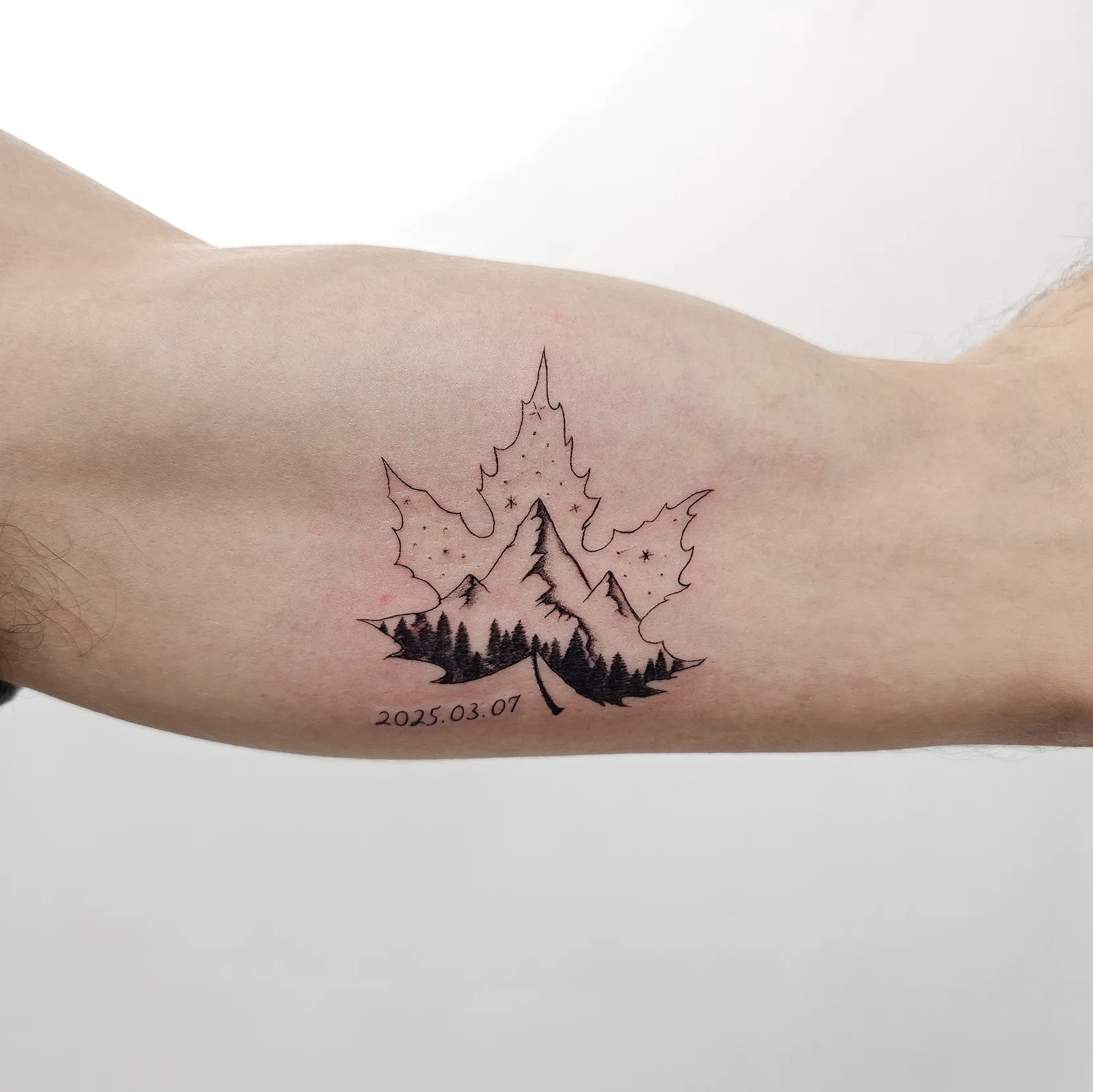 Delicate Fine Line Rose